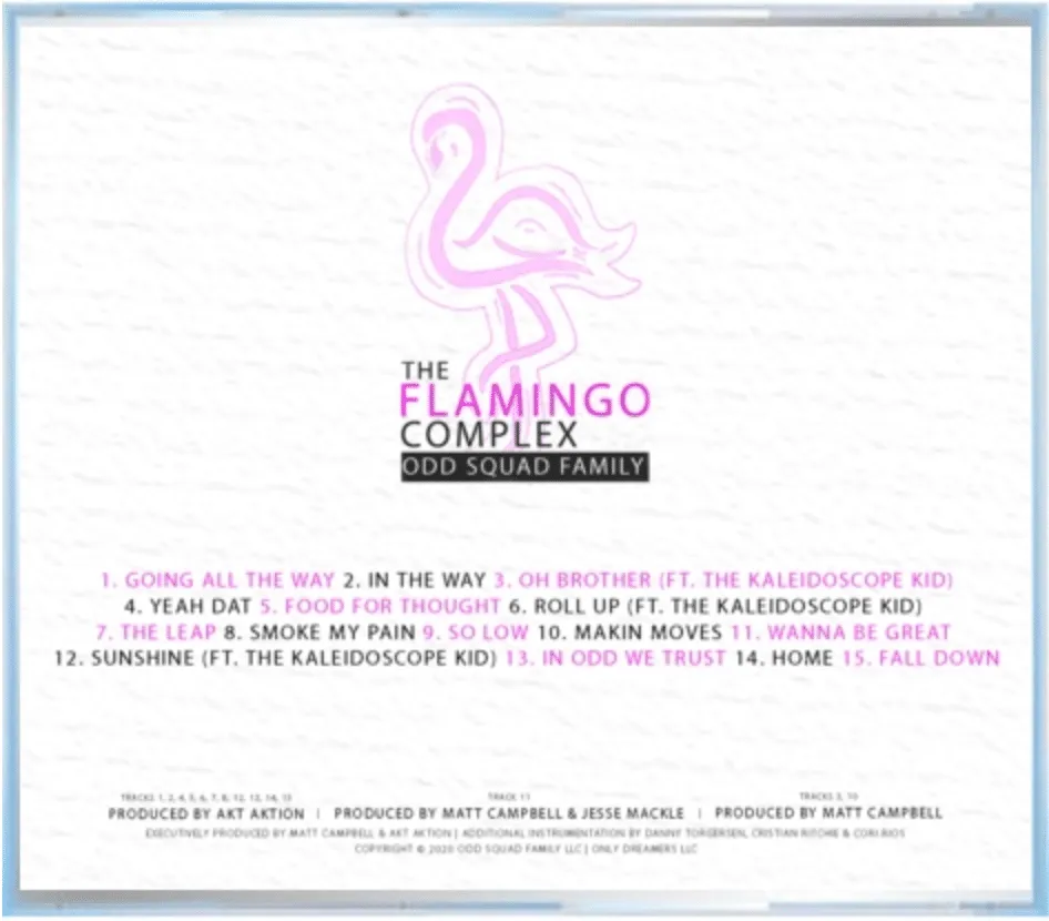 THE FLAMINGO COMPLEX CD